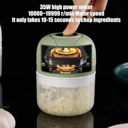 Electric garlic chopper motor information